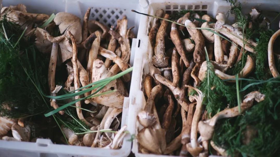 香格里拉美食推荐