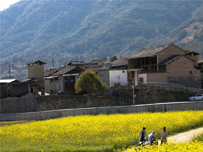 云南研学旅行夏令营的内容介绍及项目特色