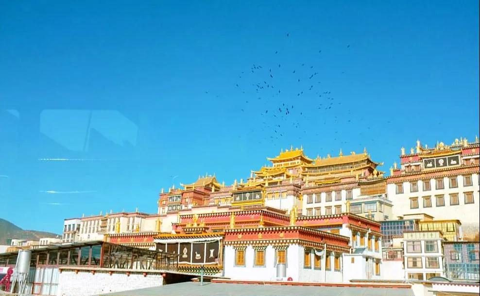 香格里拉 · 藏族文化之旅 | 国家地理评选为全球最具诱惑的旅行地之一，世人都在向往！