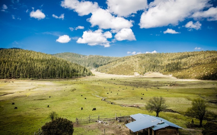 香格里拉旅游