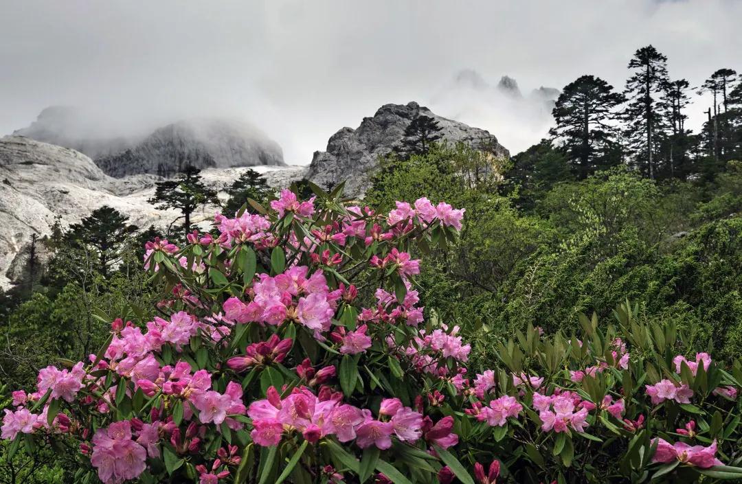 香格里拉