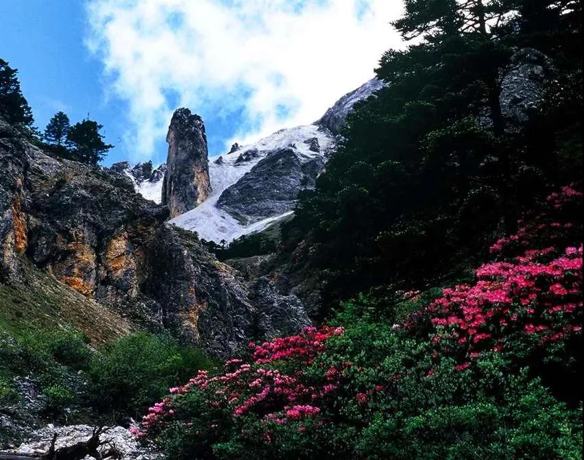 香格里拉