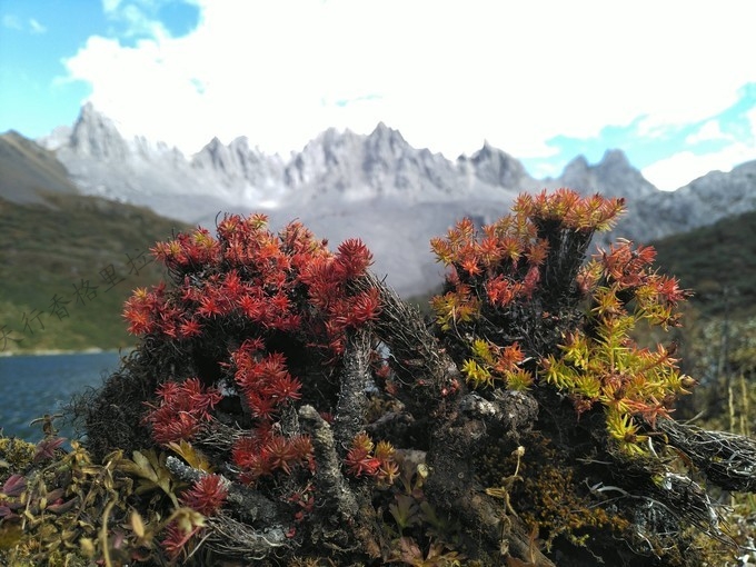 香格里拉梅里雪山雨崩圣湖徒步拓展全攻略