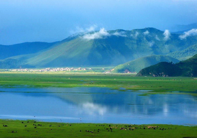 香格里拉纳帕海依拉草原团建