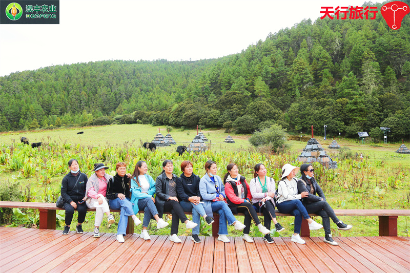 云南香格里拉主题团建旅行