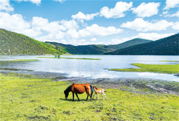 香格里拉旅游 香格里拉研学旅行 文化 | 岁月无声 时光不语 一起感受迪庆非遗之美！