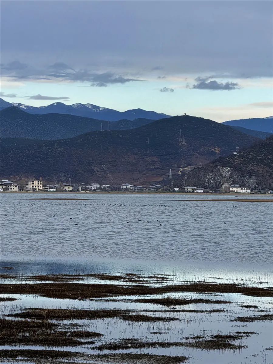 纳帕海 纳帕海