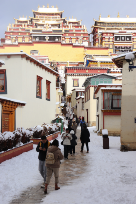 香格里拉旅游公司：冬游香格里拉的最佳时节！在云南，看一场雪