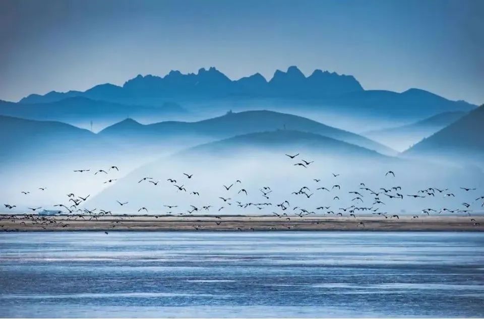 纳帕海