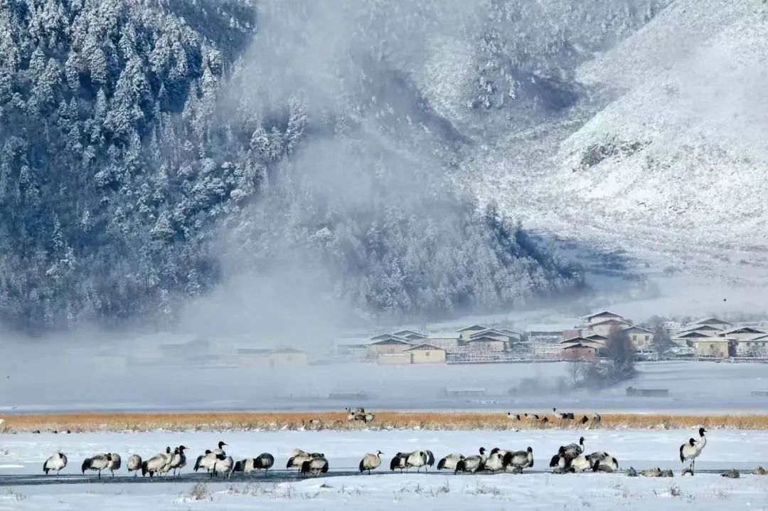 香格里拉活动策划:香格里拉冬天的雪，是夏天揉碎的云​