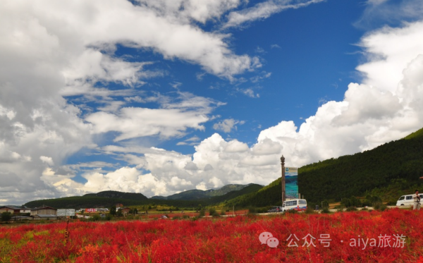 香格里拉