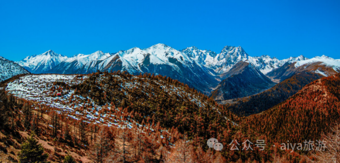 香格里拉旅游公司：香格里拉：蓝天、白云、雪山，仿佛置身仙境中的梦幻之地