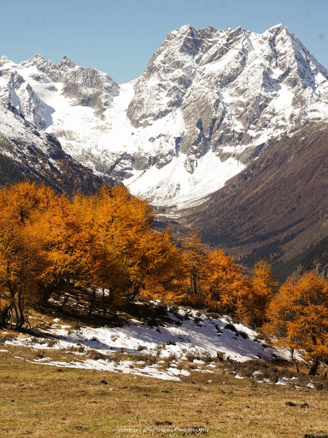 云南旅游,云南旅行社,云南团建公司,云南会议公司,云南策划公司,香格里拉旅游,香格里拉旅行社,香格里拉团建公司,香格里拉策划公司：避开人群！秋天的云南白马雪山美到封神…