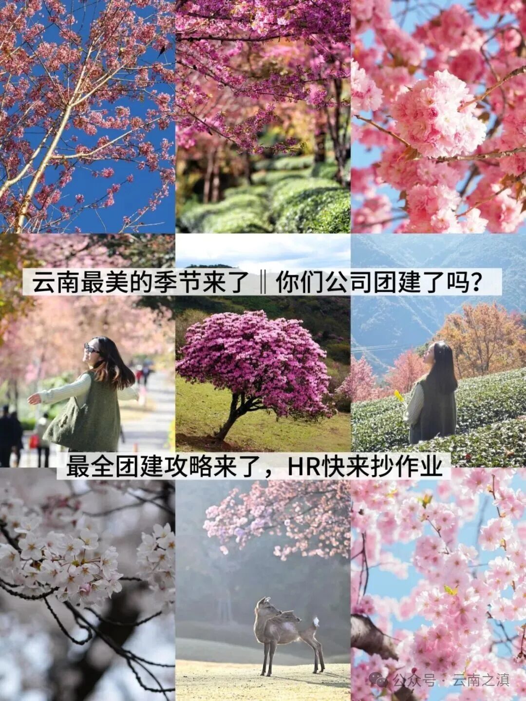 开春复工团建||云南才是天花板