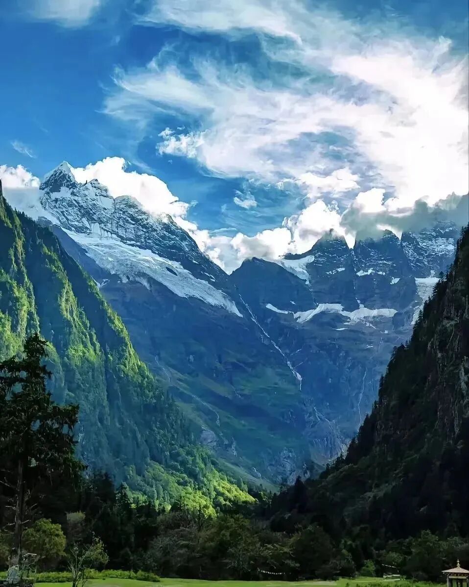 在香格里拉，本地人都！吃！啥！