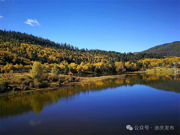 香格里拉旅游：“树胡子”礼赞 《人民日报》要闻版头条聚焦迪庆人与自然和谐共生